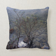 Mirror Lake 2 Pillow