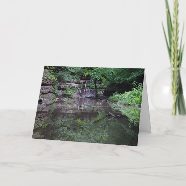 Mirror, Mirror Greeting Card (Front)