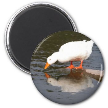 Mirror Mirror Magnet by toots1 at Zazzle