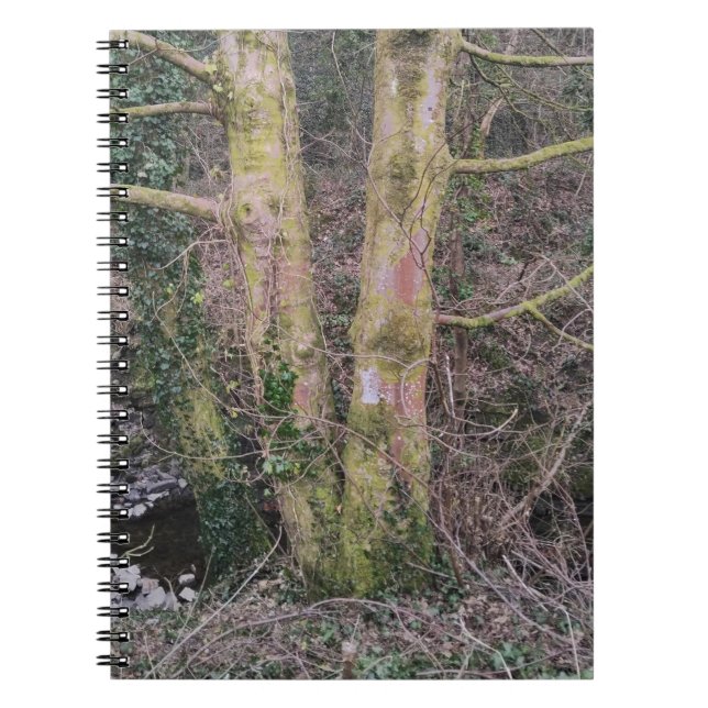 Mirror Trees Notebook (Front)