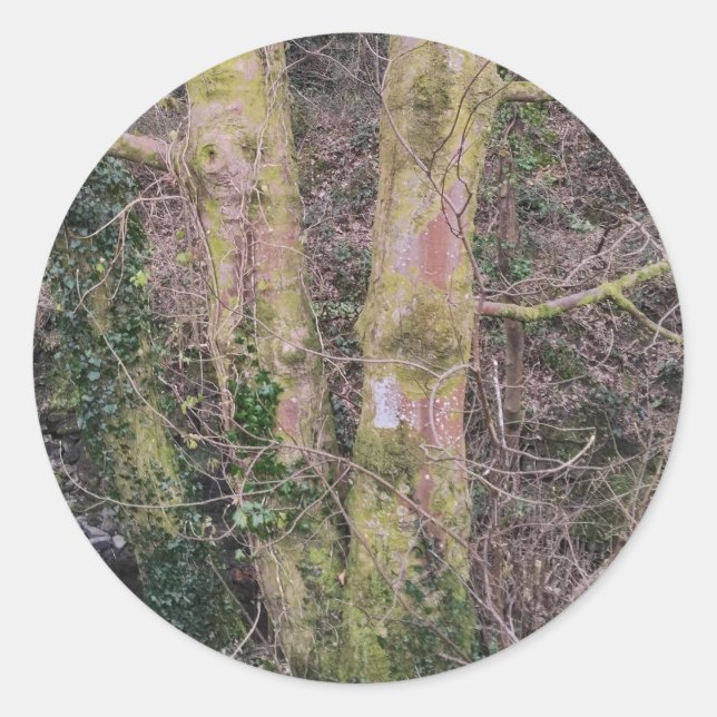 Mirror Trees Sticker (Front)