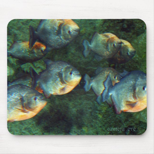 Mirrored Piranha Mouse Pad (Front)