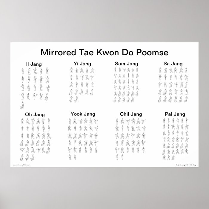 Mirrored Tae Kwon Do Poomse Print