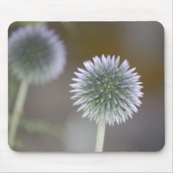 Mirrored Thistles Mousepad by pulsDesign at Zazzle