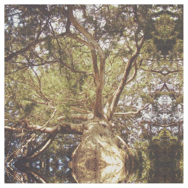 Mirrored Tree Fabric (Close Up)