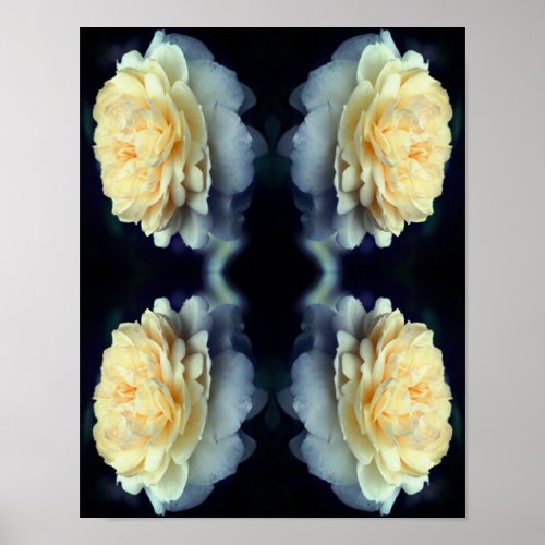 Mirrored Yellow Rose In Bloom Abstract  Poster