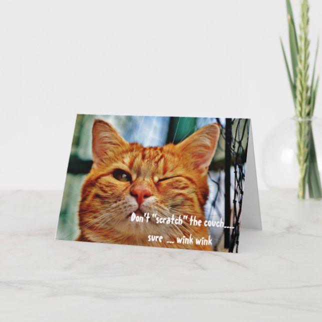 Misbehaving Cat Funny Humor Winking Greeting Card (Front)