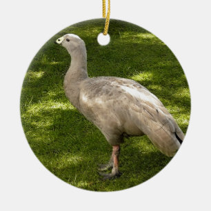 Miscellaneous - Cape Barren Goose  Shadows & Light Ceramic Ornament