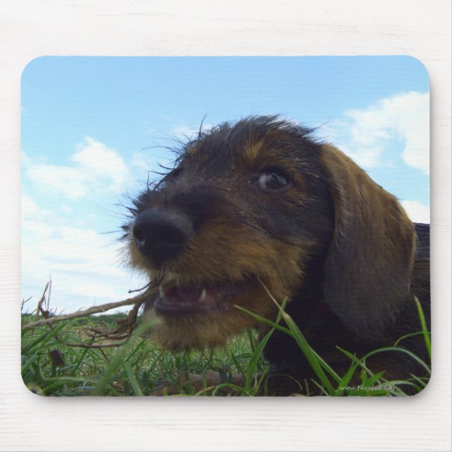 Mischevious Mouse Pad (Front)