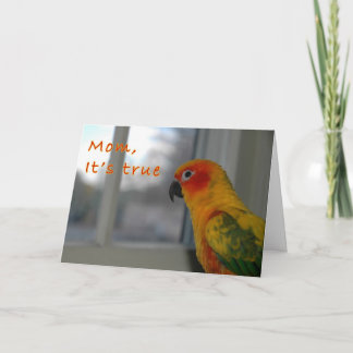 Mischief Card
