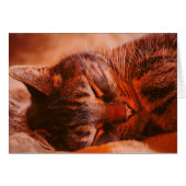 Mischief Free (Front Horizontal)