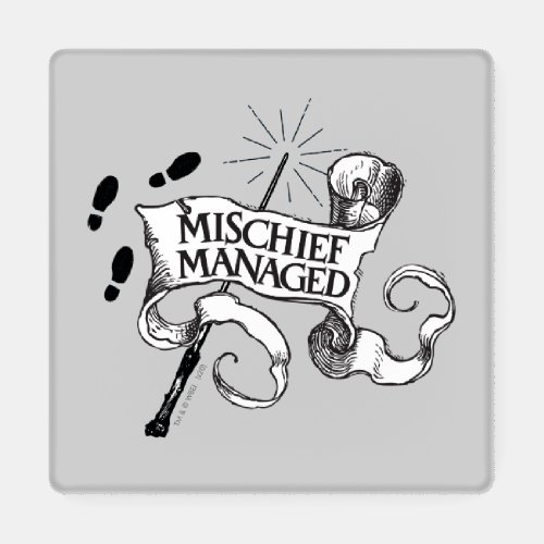 Mischief Managed Coaster Set