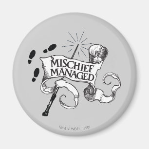 Mischief Managed Magnet