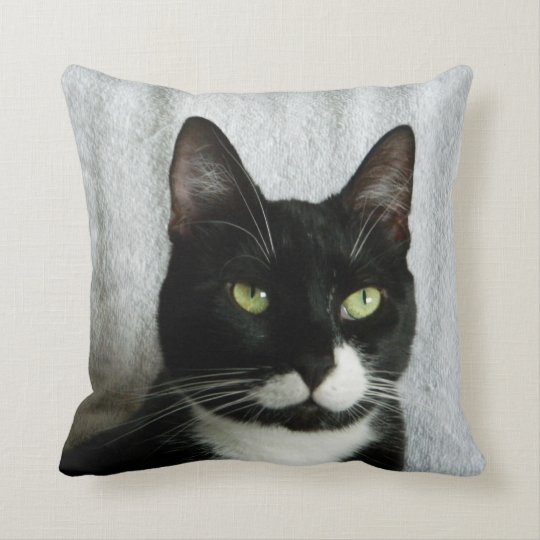 tuxedo sam pillow