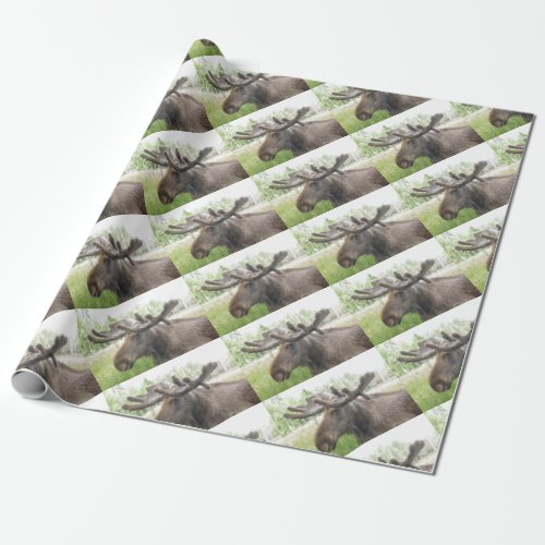 Mischievious Moose Wrapping Paper