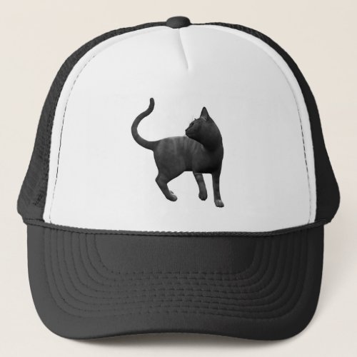 Mischievous Black Cat Hat