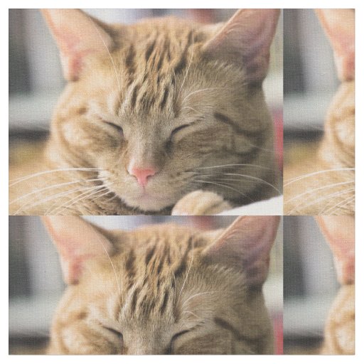 Mischievous dreaming fabric