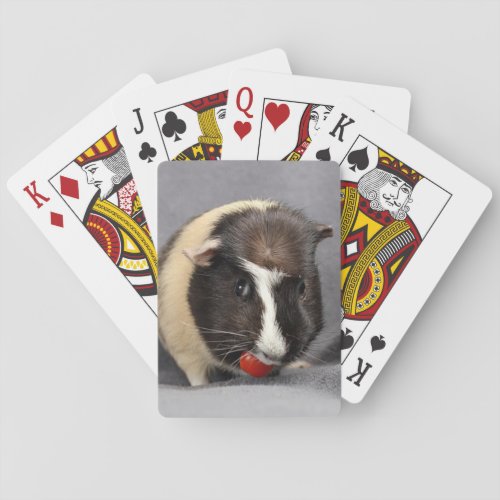 Mischievous Guinea Pig Playing Cards
