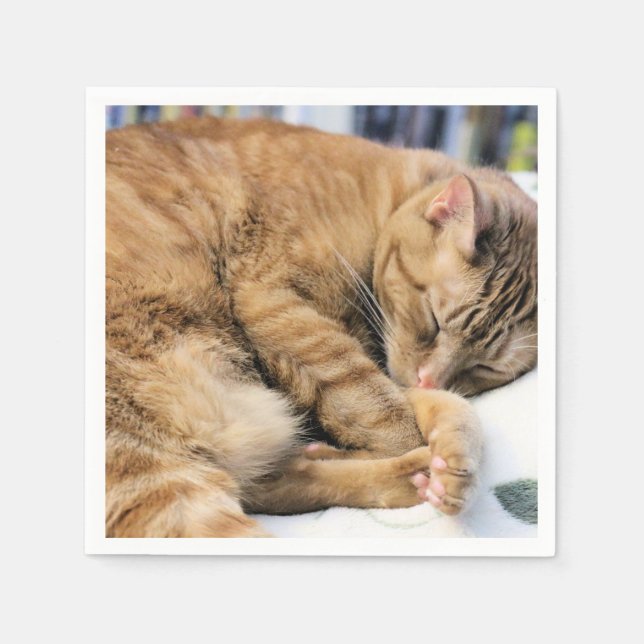 Mischievous interrupted paper napkins (Front)