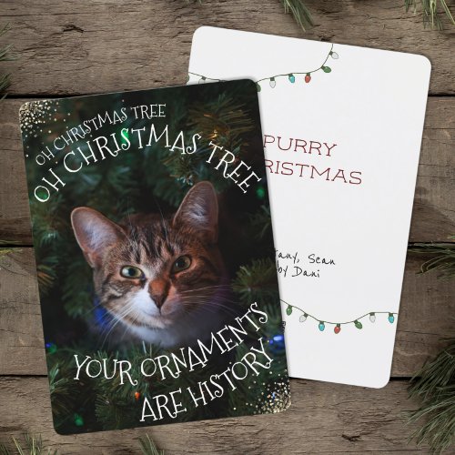 Mischievous Kitty Funny Cat Oh Christmas Tree Holiday Card