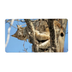 Mischievous Lynx Label