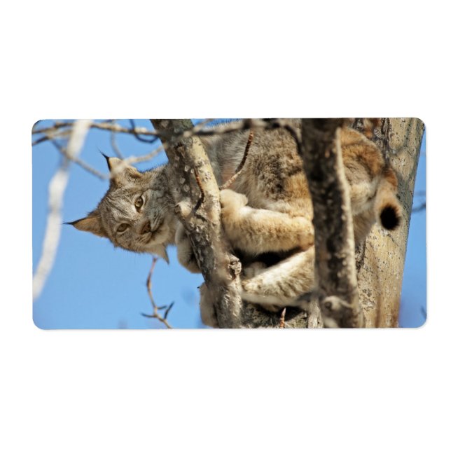 Mischievous Lynx Label (Front)