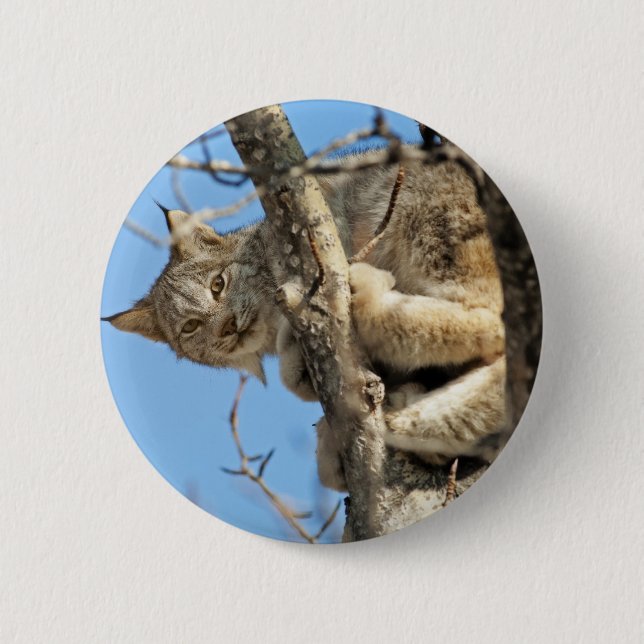 Mischievous Lynx Pinback Button (Front)