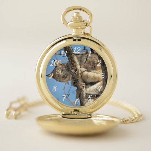 Mischievous Lynx Pocket Watch