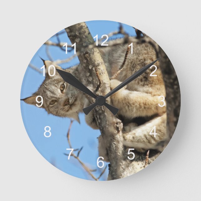 Mischievous Lynx Round Clock (Front)