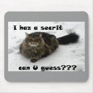 Mischievous Maine Coon in the snow Mouse Pad