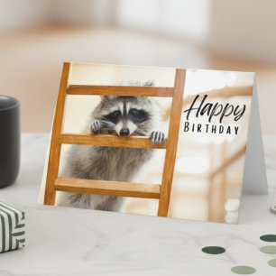 Mischievous Raccoon Birthday Card