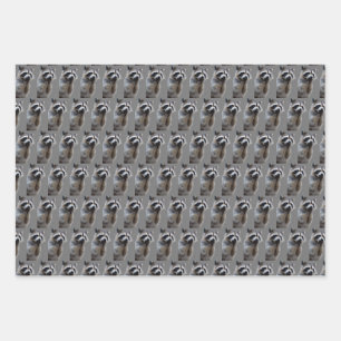 Mischievous Raccoon   Wrapping Paper Sheets
