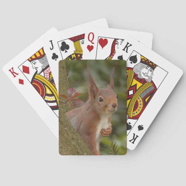 Mischievous Red Squirrel Poker Cards (Back)
