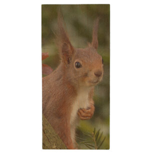 Mischievous Red Squirrel Wood USB Flash Drive