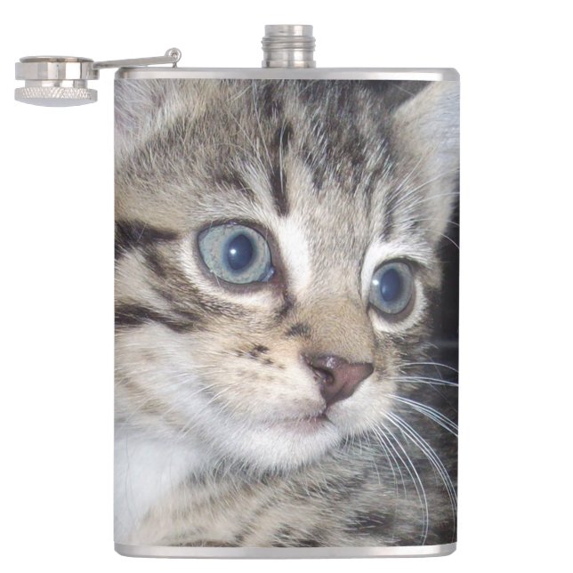 Mischievous Tabby Kitten,  Flask (Opened)