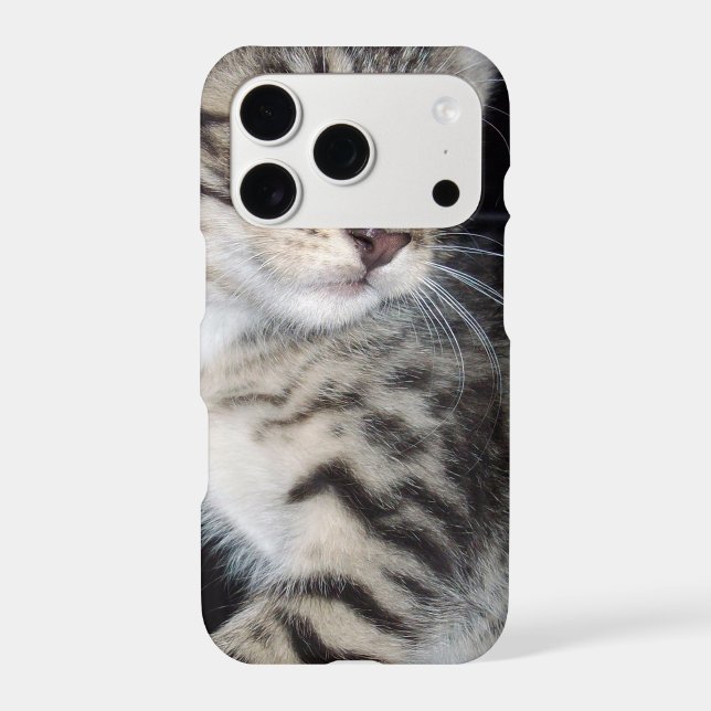 Mischievous Tabby Kitten,  Iphone Case (Back)