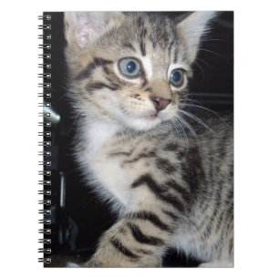Mischievous Tabby Kitten,  Notebook