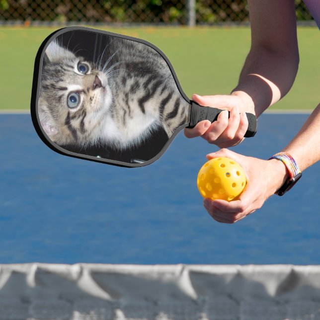 Mischievous Tabby Kitten, Pickleball Paddle (Insitu)