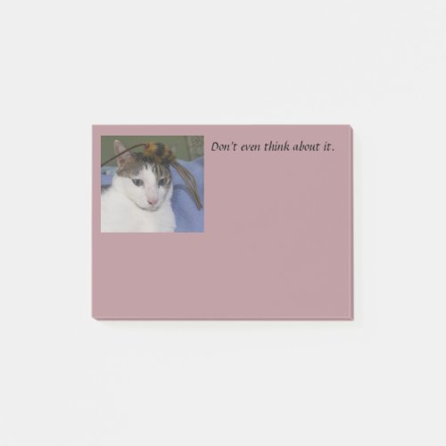 Mischievous white  gray tabby house cat with toy post_it notes