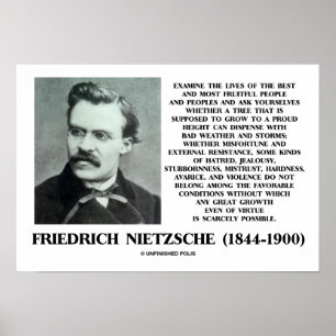 Misfortune Favorable Conditions Growth Nietzsche Poster