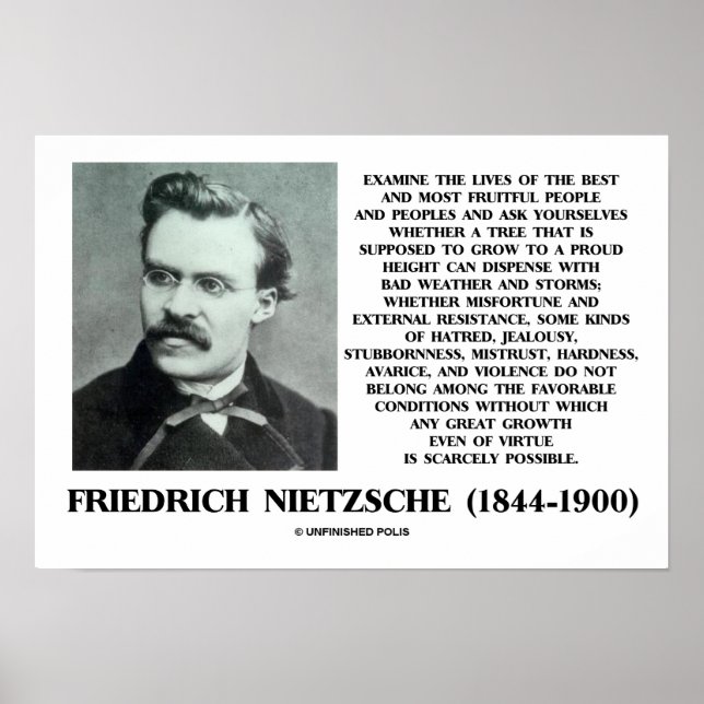 Misfortune Favorable Conditions Growth Nietzsche Poster (Front)
