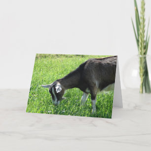 Misha the Goat Card