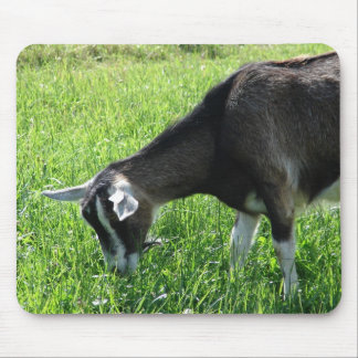 Misha the Goat Mouse Pad