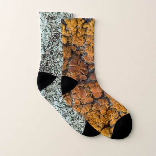 Mismatched Lichen Socks