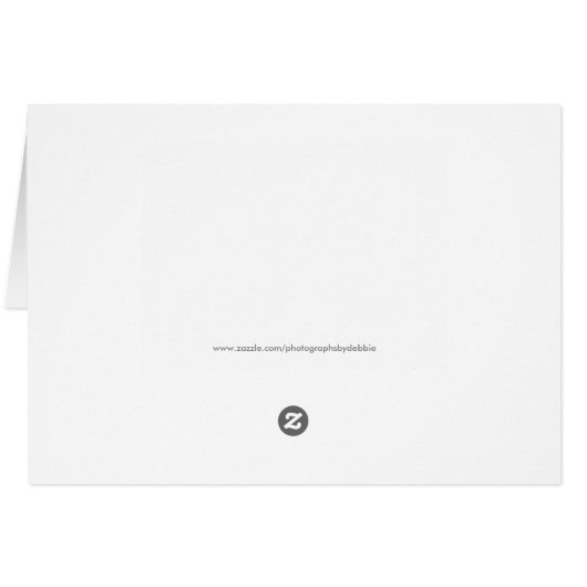 Miss America Crown Thank You Card in BRWN/SLVR (Back Horizontal)