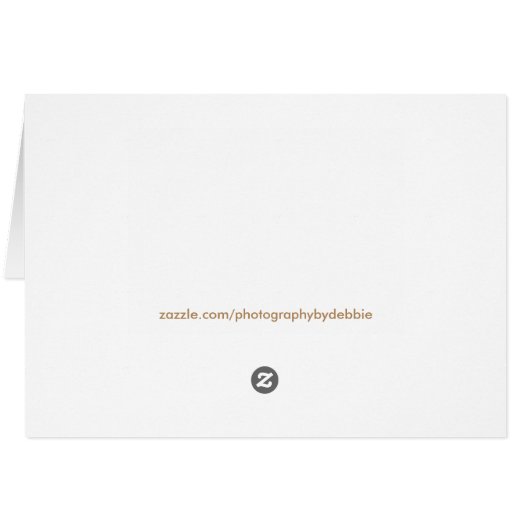Miss America style Santa Hat Crown Christmas Card (Back Horizontal)