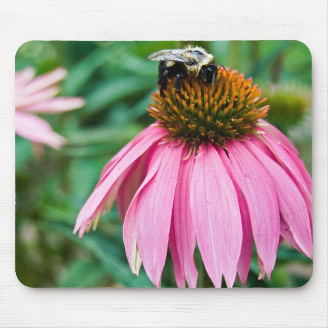 Miss Bee Mouse Pad (Front)