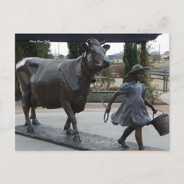 Miss Blue Bell Postcard (Front)