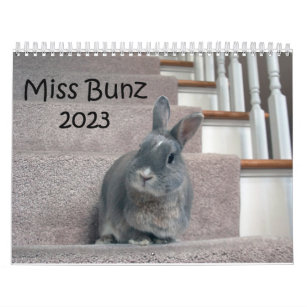 Miss Bunz 2023 Calendar