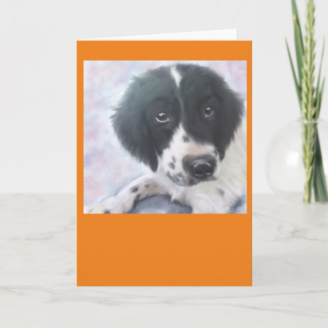 Miss Fannie - English Springer Spaniel - Card (Front)